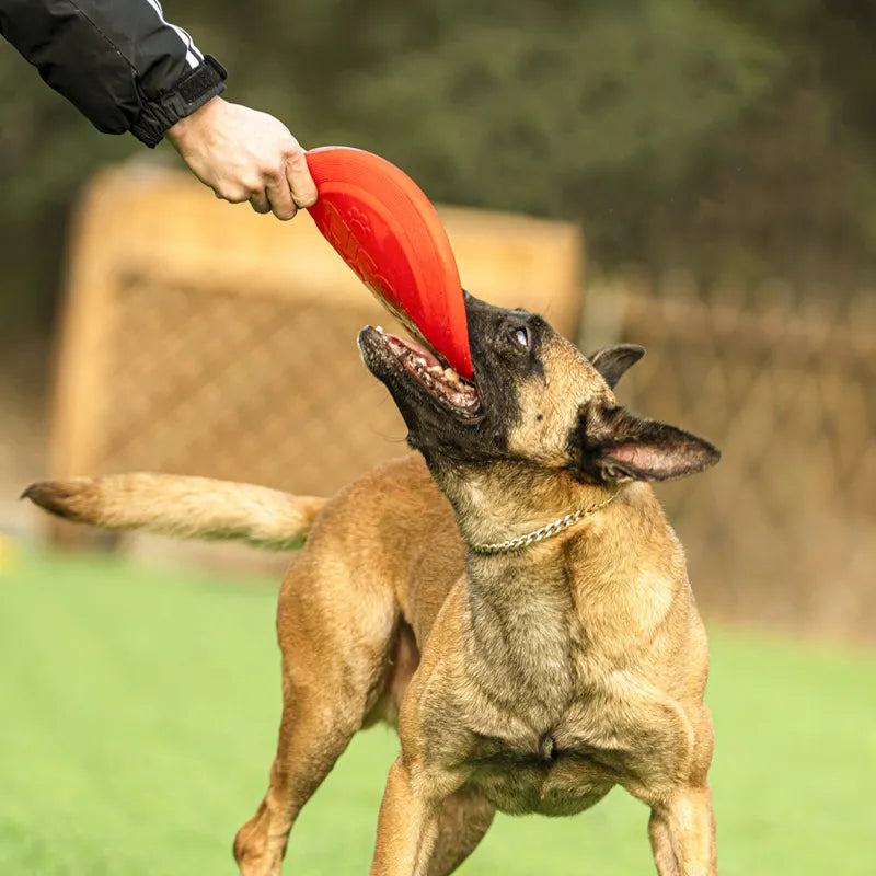 Rubber Flying Disk